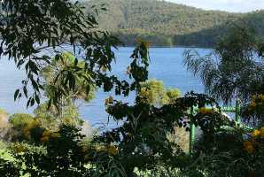 HINZE DAM 2006(018)